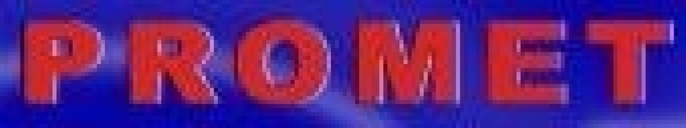 cache_9083965.jpg.608.